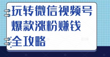 玩转微信视频号爆款涨粉赚钱全攻略，让你快速抓住流量风口，收获红利财富